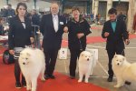 Meilleur du Groupe 5 Limoges 2017